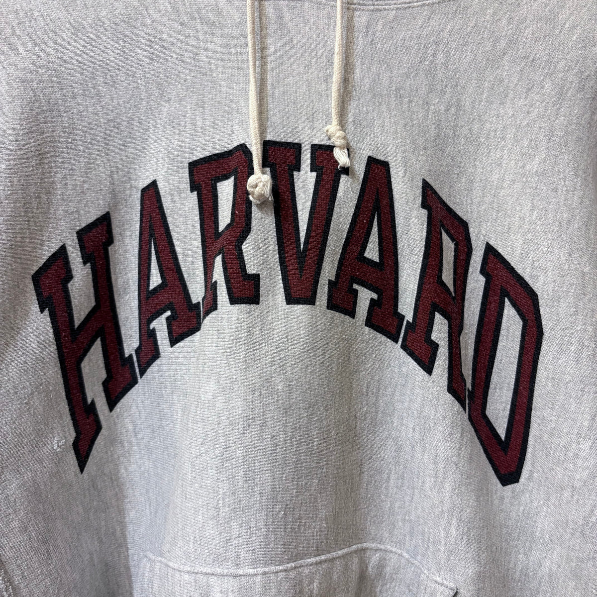 90's Champion Reverse Weave parka "HARVARD" (L/ water print)