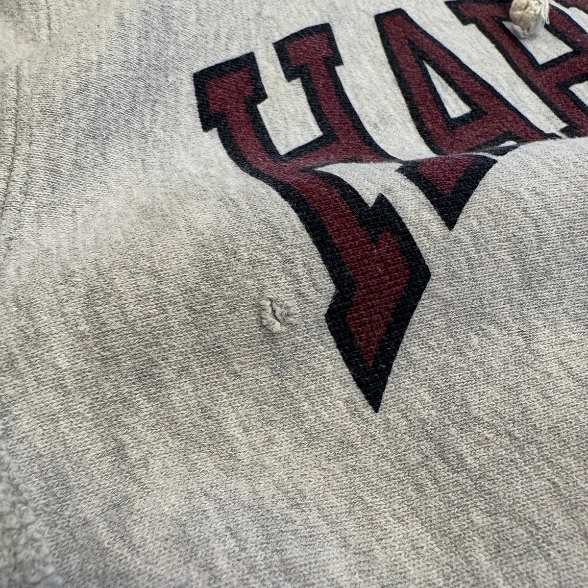90's Champion Reverse Weave parka "HARVARD" (L/ water print)