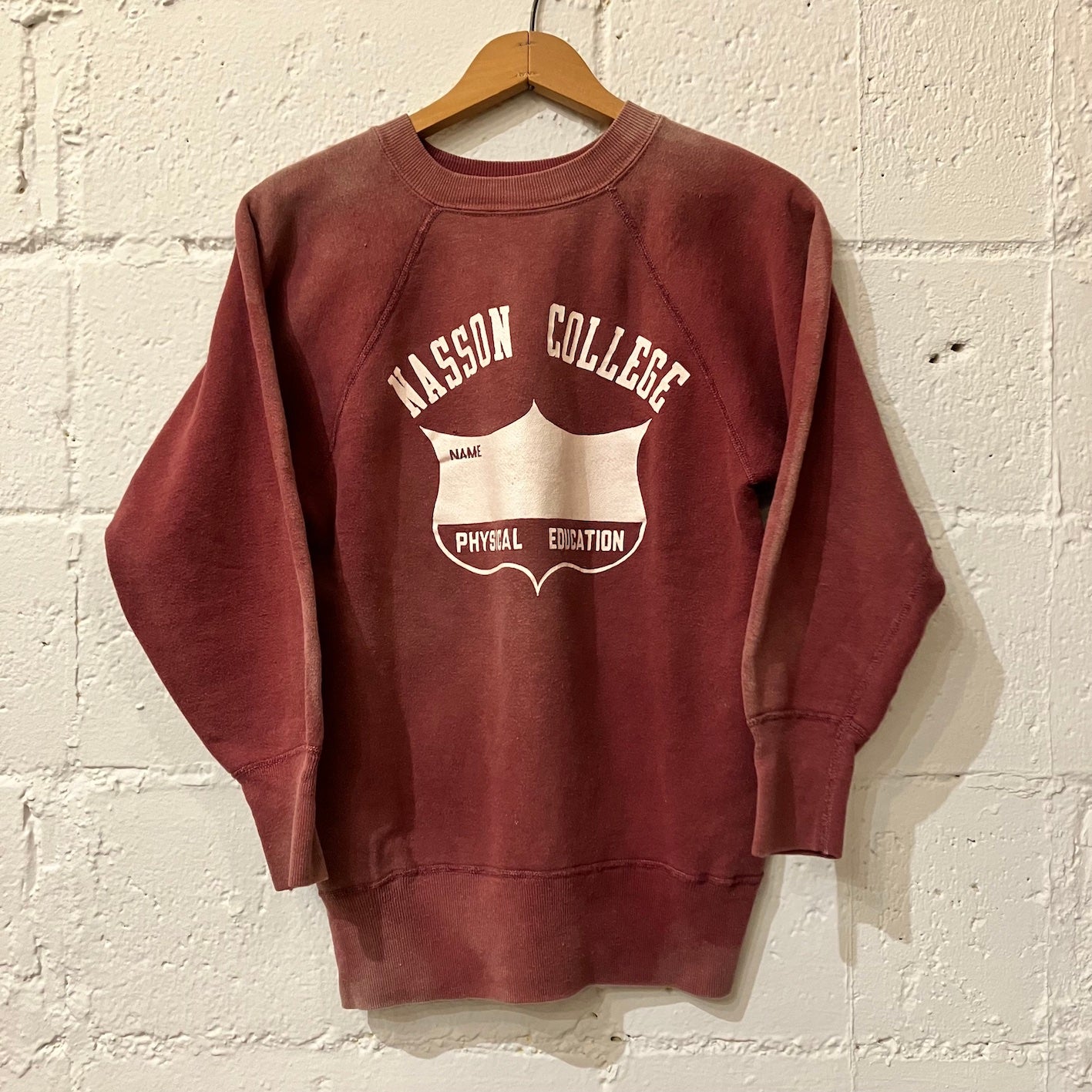 60's Hanes sweat shirt (sun faded)